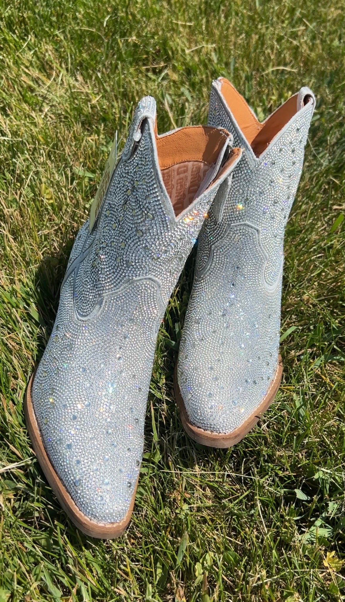 Dingo sliver dollar boots sitting in green grass